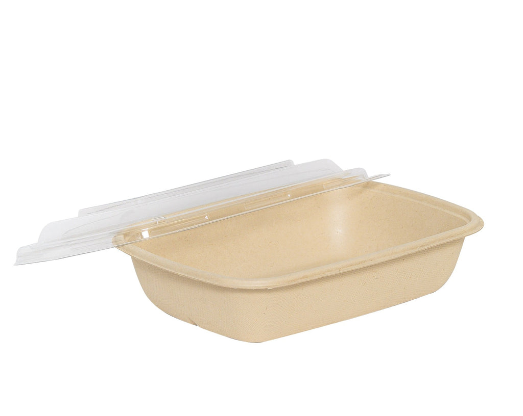 Bagasse Rectangular Containers
