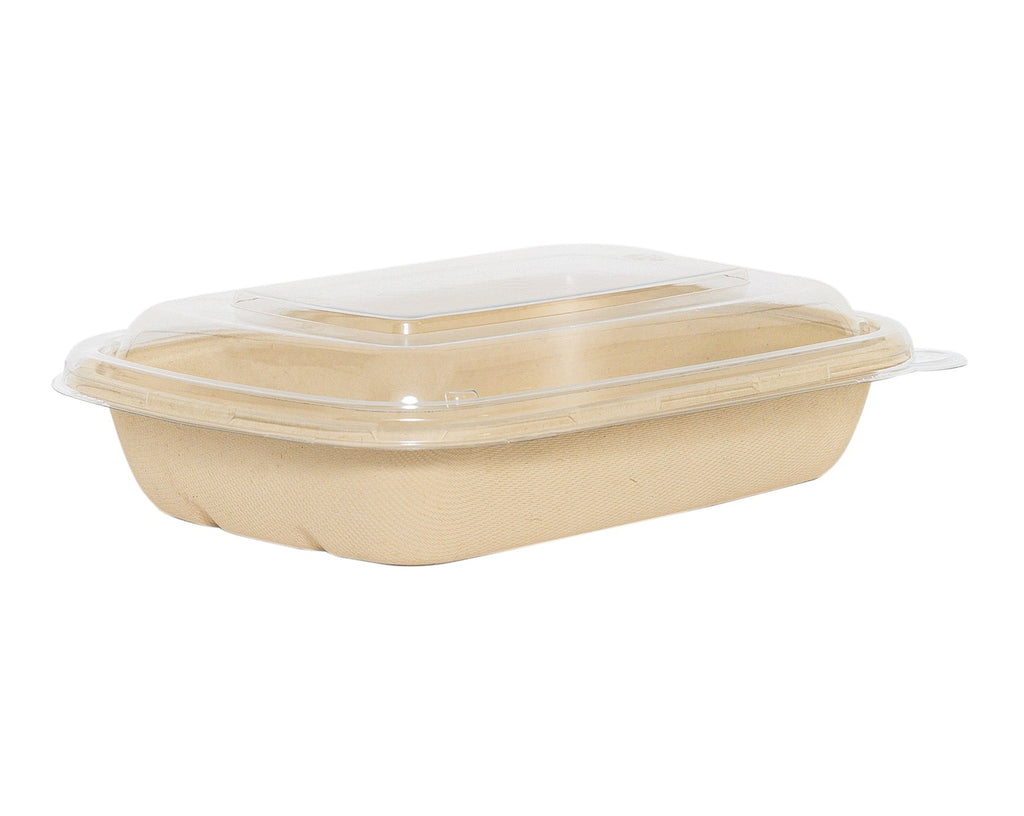 Bagasse Rectangular Containers